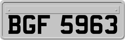 BGF5963
