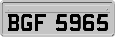 BGF5965