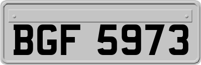 BGF5973