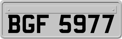 BGF5977
