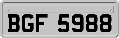 BGF5988