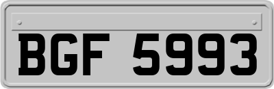 BGF5993