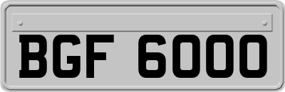 BGF6000