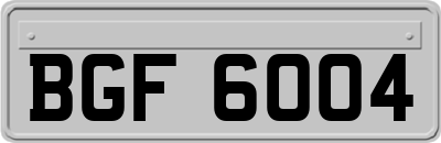 BGF6004