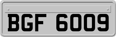 BGF6009