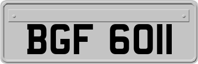 BGF6011