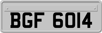 BGF6014