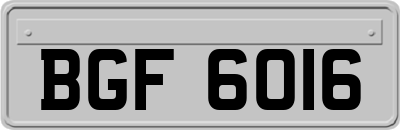 BGF6016