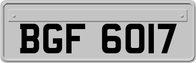 BGF6017