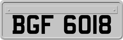 BGF6018