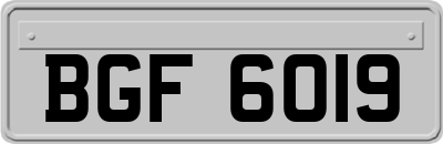 BGF6019