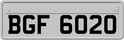 BGF6020