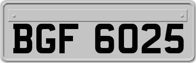 BGF6025