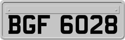 BGF6028