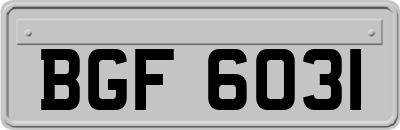 BGF6031