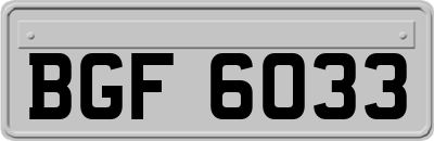BGF6033
