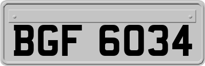 BGF6034