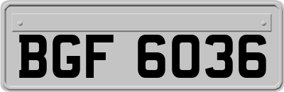BGF6036