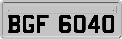 BGF6040