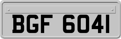 BGF6041
