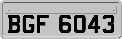 BGF6043