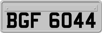 BGF6044