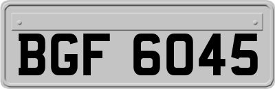 BGF6045