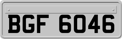 BGF6046