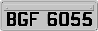 BGF6055