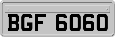 BGF6060
