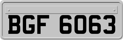 BGF6063