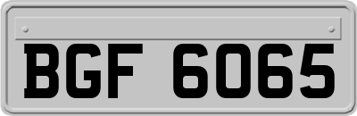 BGF6065