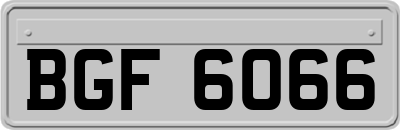 BGF6066