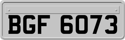 BGF6073