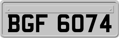BGF6074