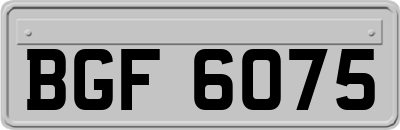 BGF6075