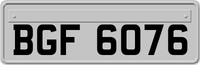 BGF6076