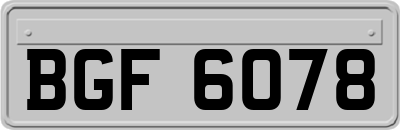 BGF6078
