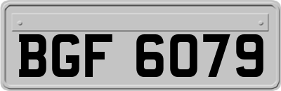 BGF6079