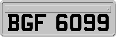 BGF6099