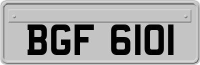 BGF6101