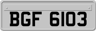BGF6103