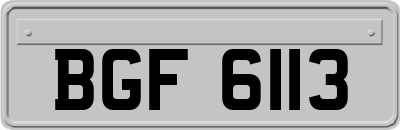 BGF6113