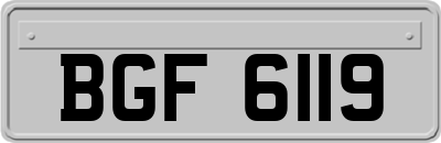 BGF6119