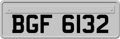 BGF6132