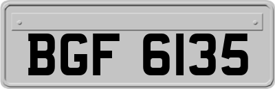 BGF6135