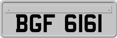 BGF6161