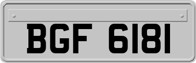 BGF6181