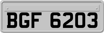 BGF6203