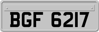 BGF6217